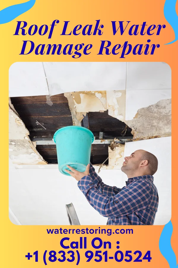 Roof Leak Water Damage Repair in Lynchburg, SC